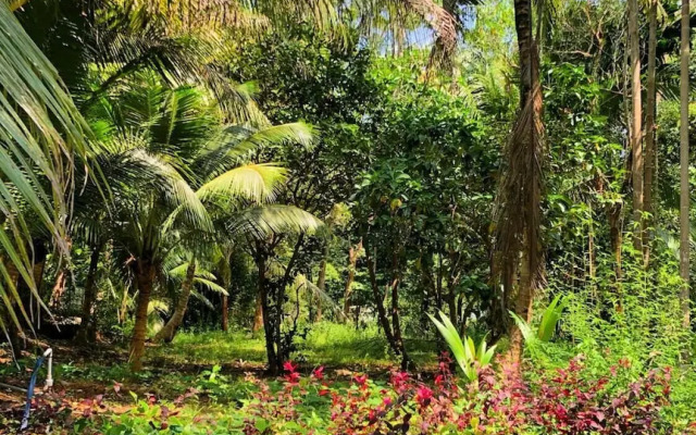 Seana Resort Phu Quoc