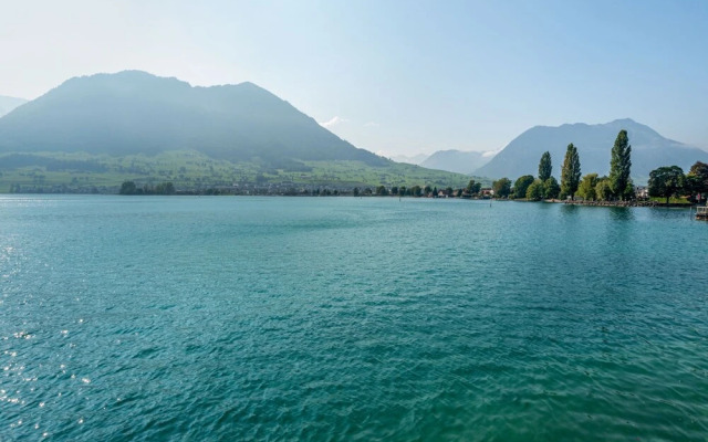 Seestern am See mit Motorboot Ennetb Rgen