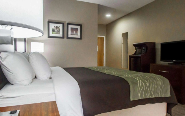 Comfort Inn Amite