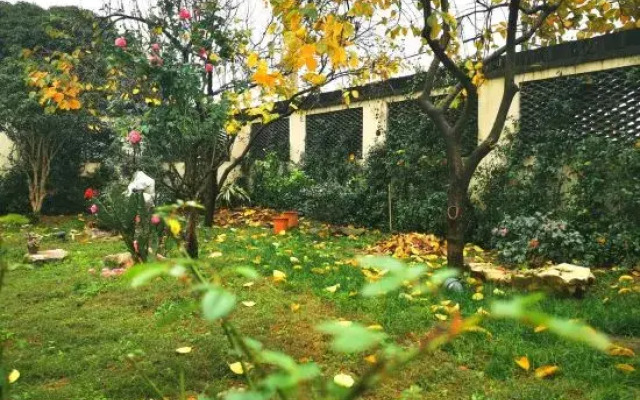 Shanghai Mu She Homestay