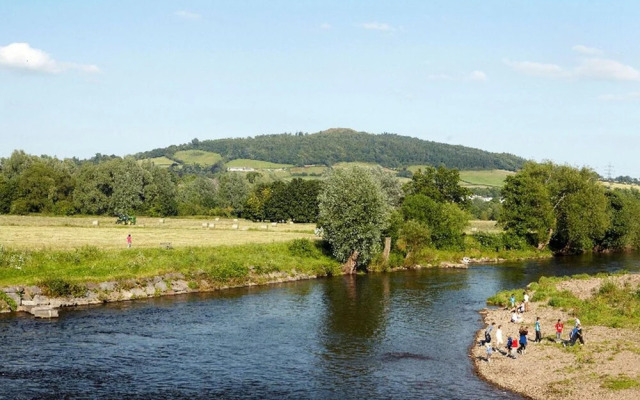 Ryvington B&B Plus