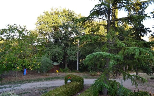 Piccolo Ulivo Ranch