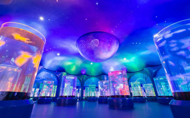 Shanghai Haichang Ocean Park Theme Resort Hotel