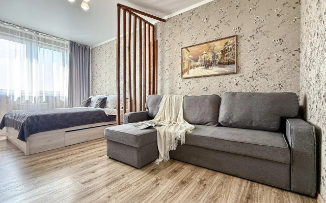 Apartments Monaco 24 on Vladimirskaya st. 55B