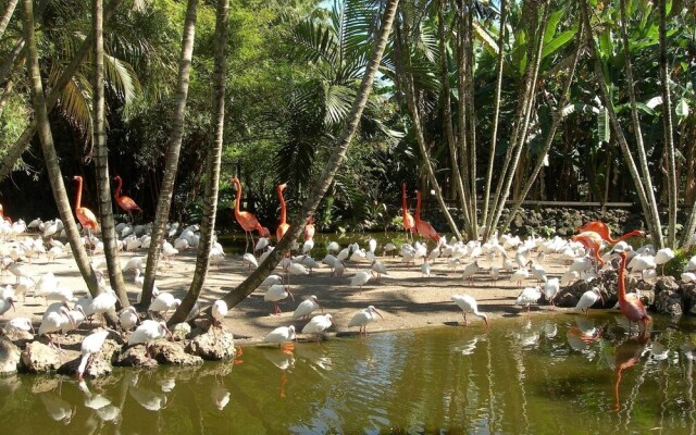 Golden Tropics 30 Minutes From Superbowl 2020 Pool Fenced Backyard