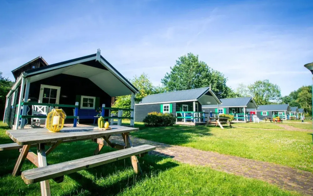 Holiday Lodge in Staphorst With Pool Access