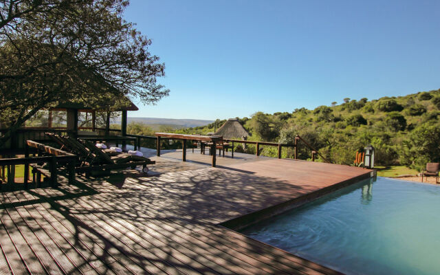 Bukela Game Lodge Amakhala Game Reserve