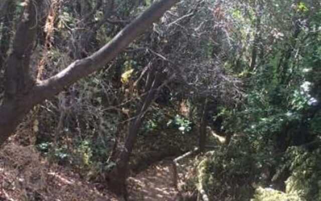 Santa María de Mantagua