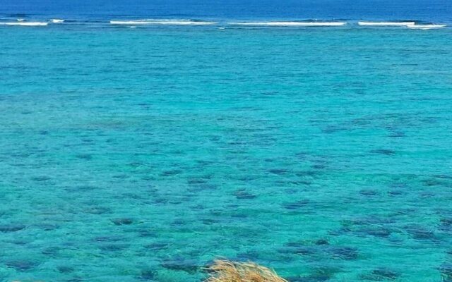 Coral garden 7 pools