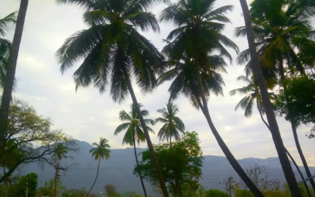 Cloud 9 Stays - Mettupalayam