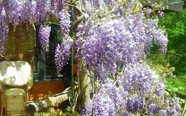 Agriturismo Agricella