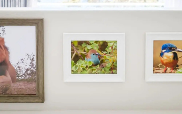 Elegant Apartment w Ocean Views Quenera Apartment