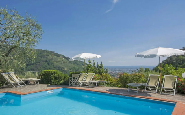 Santa Margherita 19502