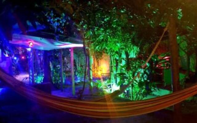 Bananas Hostel