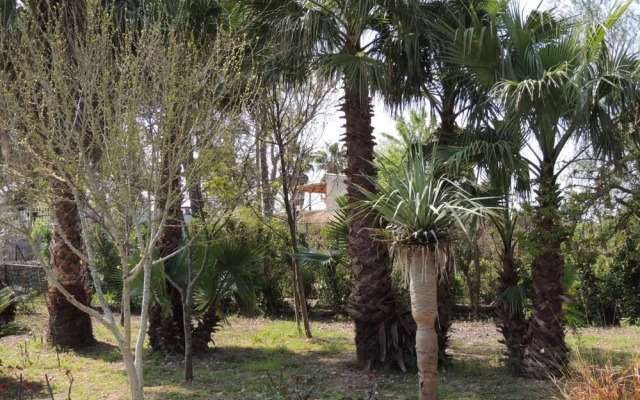 Villa Es Canya