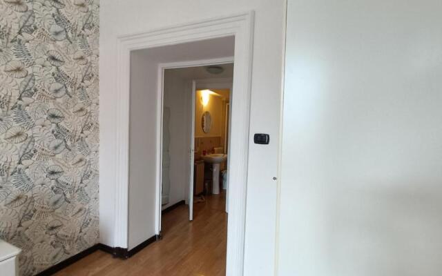 Colosseo Kokedama rooms