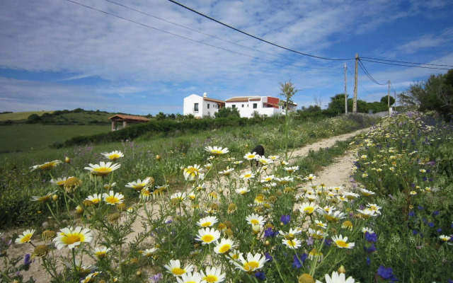 Sindhura