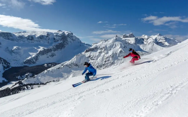 Alpenblick Appartements - Studio