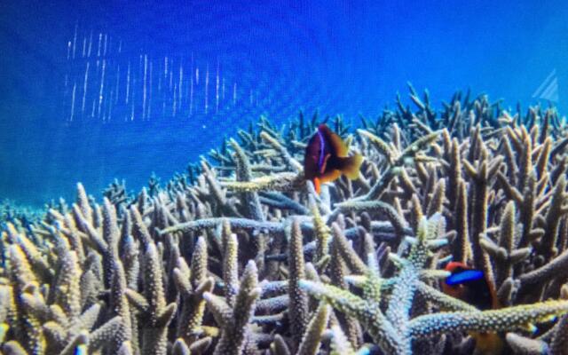 Turtle Cove Island Resort