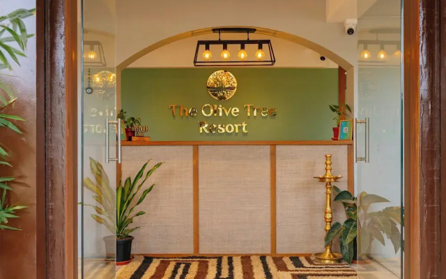 Olive Tree Resort