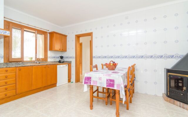 Torre Marina Alga Marina