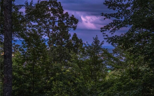 Bear View Chalet Three Bedroom Cabin