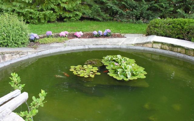 Chambres DHotes Nuits De Reve