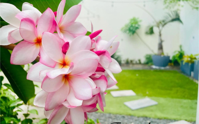 Villa Tropical Paradise avec piscine, 4 chambres