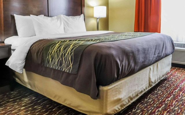 Comfort Inn & Suites Artesia