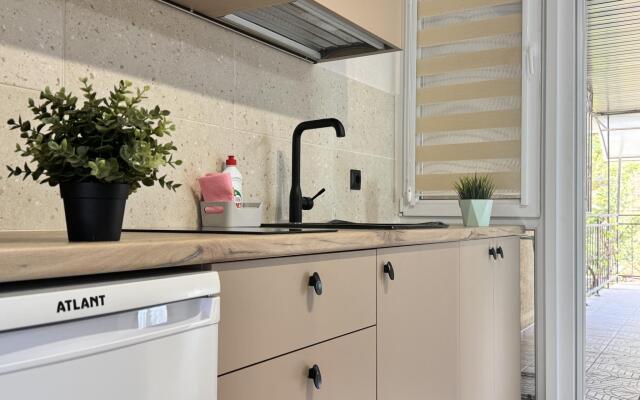 Солнце Тургенева