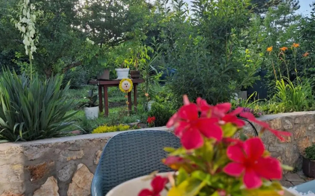 Villa Ella