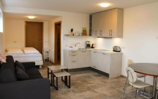Skipalaekur Farm Apartments