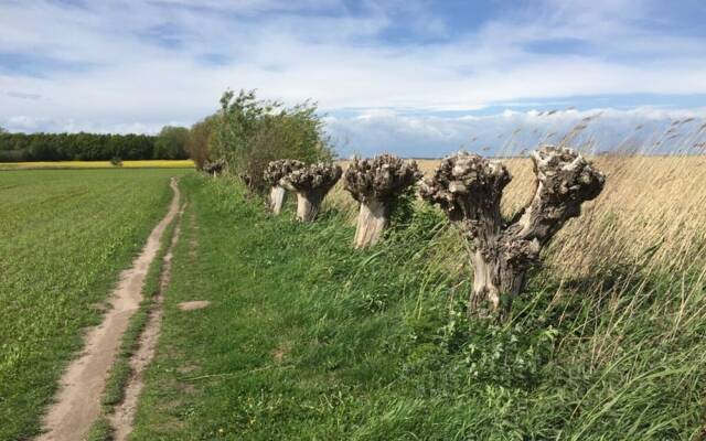 Nice Apartment in Ostseebad Wustrow