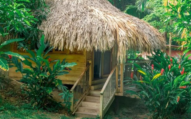 Magic Greeen Tayrona