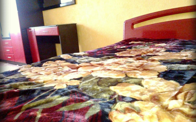 Apartment on Robitnycha