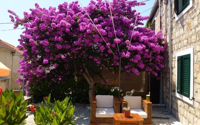 Apartement Vanja