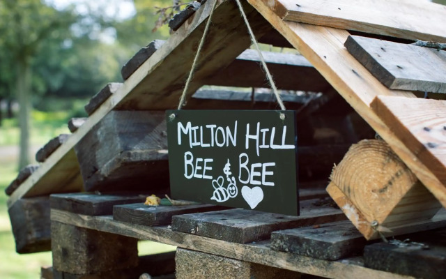Milton Hill