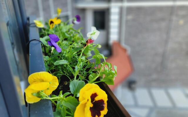 Аполион на улице Набережная 19а