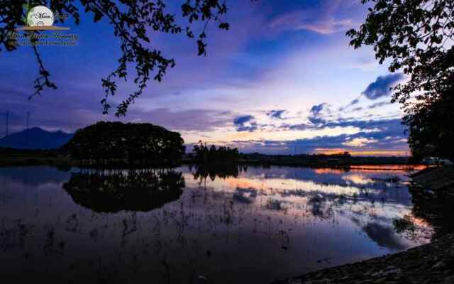 Moon Garden Homestay