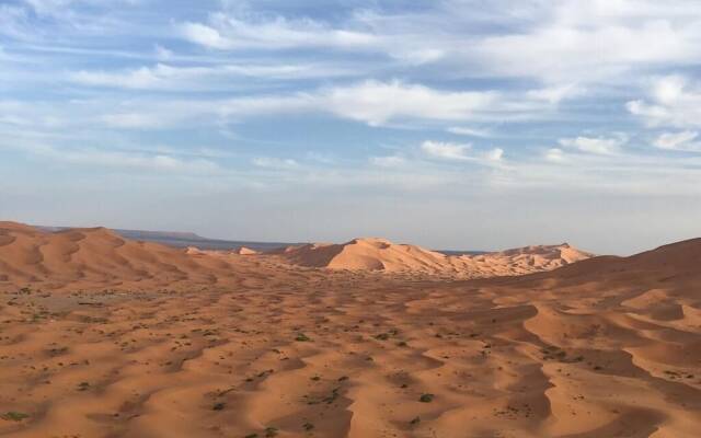 Desert Queen Camp