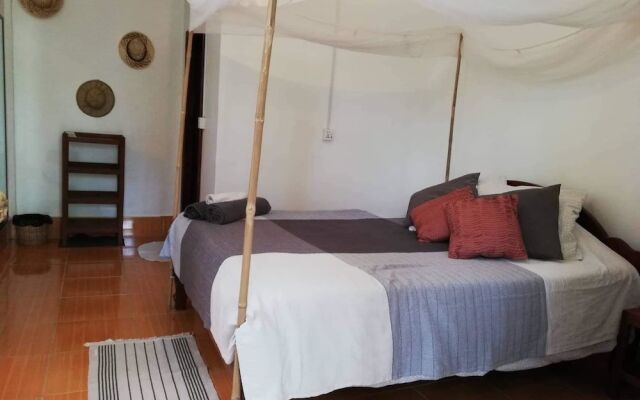 La Maison des Bambous