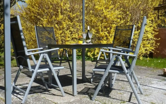 Black-headed Gull Comfortable Holiday Residence