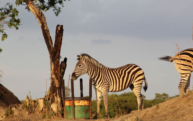 Bushman Rock Safaris