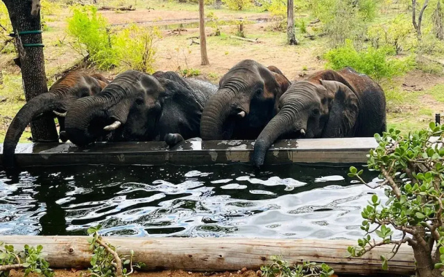 Khanya Conservation Camp