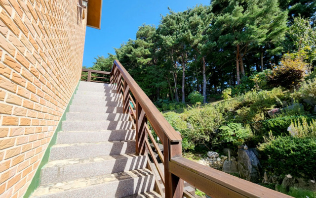 Yangyang Pinot Tree Pension