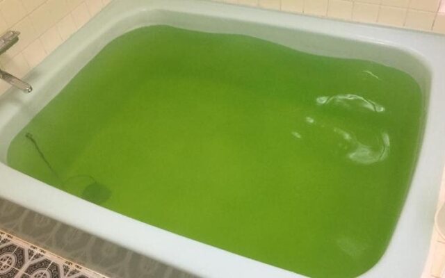 Hotel Niihama Hills Prince House