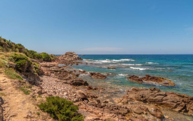 Locazione Turistica Sassicaia