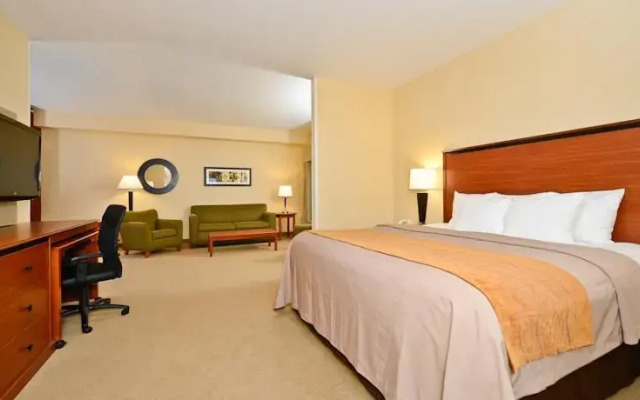 comfort inn shelby