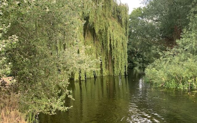 Wensum Glamping