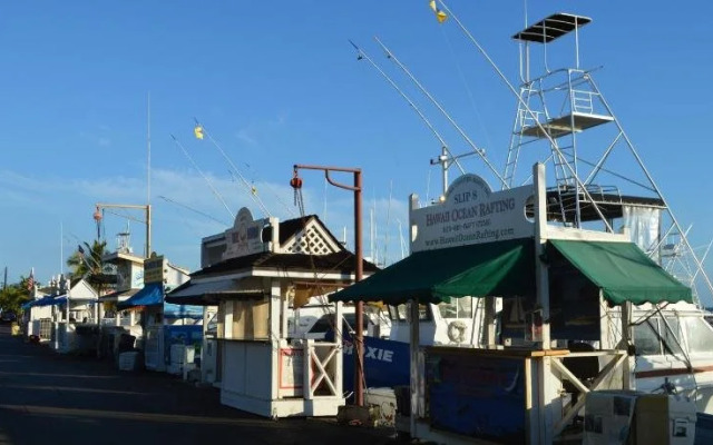 The Lahaina Beach House